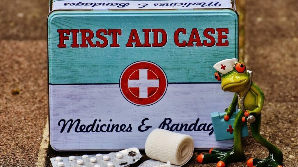 Erste-Hilfe-Kasten, englisch beschriftet: First Aid Case, Medicines & Bandages